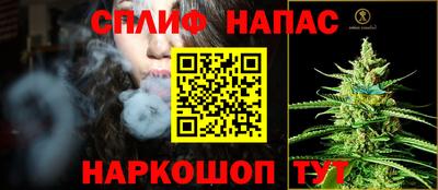 индика Будённовск