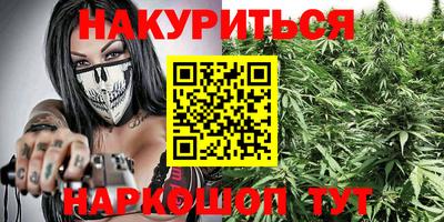 индика Будённовск