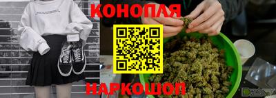 индика Будённовск