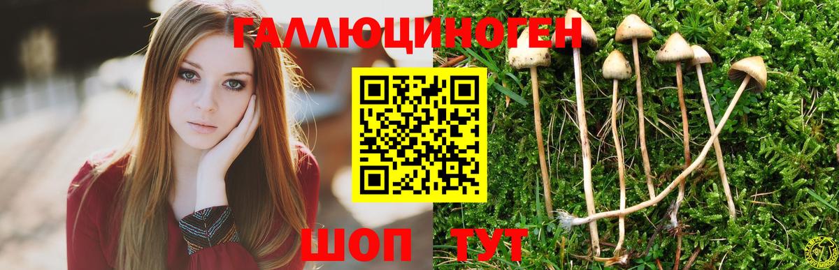 Псилоцибиновые грибы мухоморы Ярцево